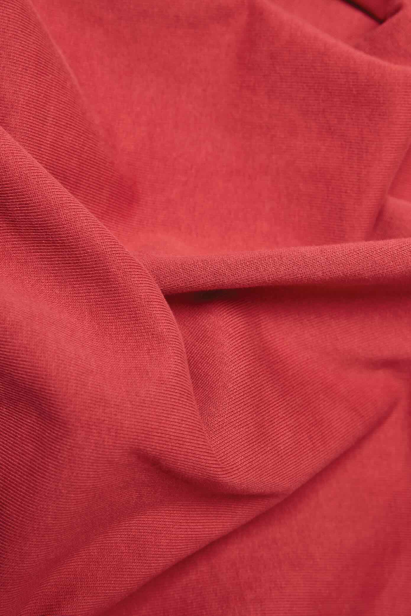 chilli red close up