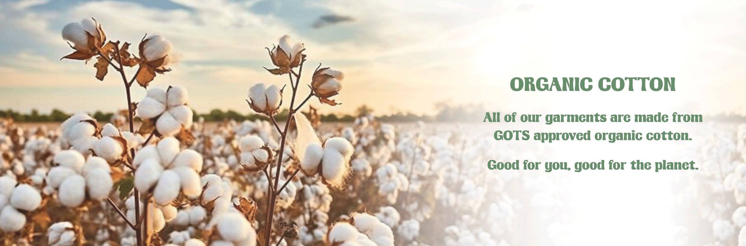 ORGANIC-COTTON-BANNER