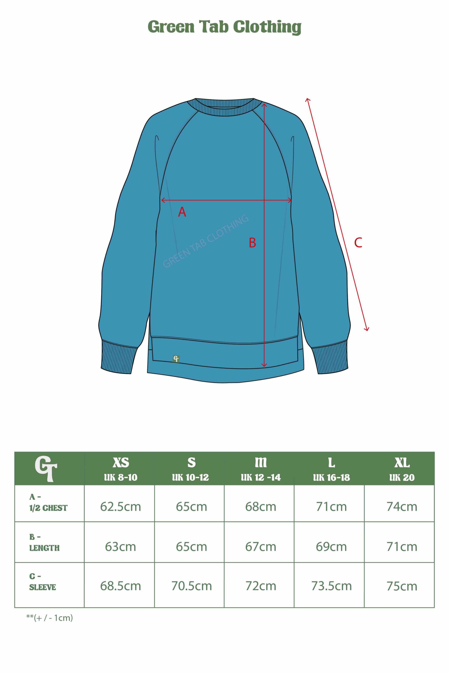 LADIES BLUE SWEATER SMALLER