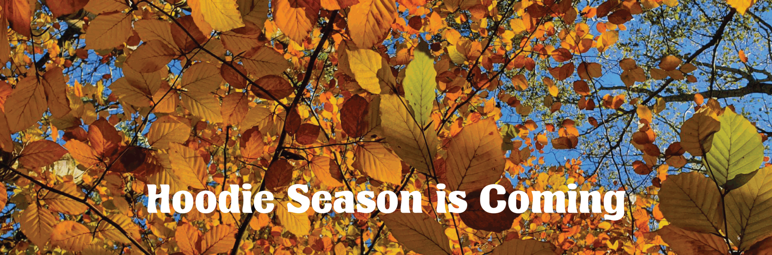 2025 AUTUMN BANNER - WEBSITE