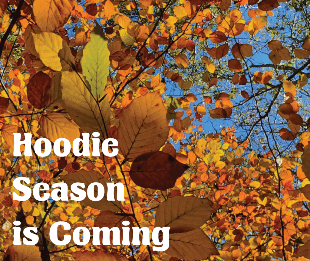 AUTUMN BANNER - MOBILE