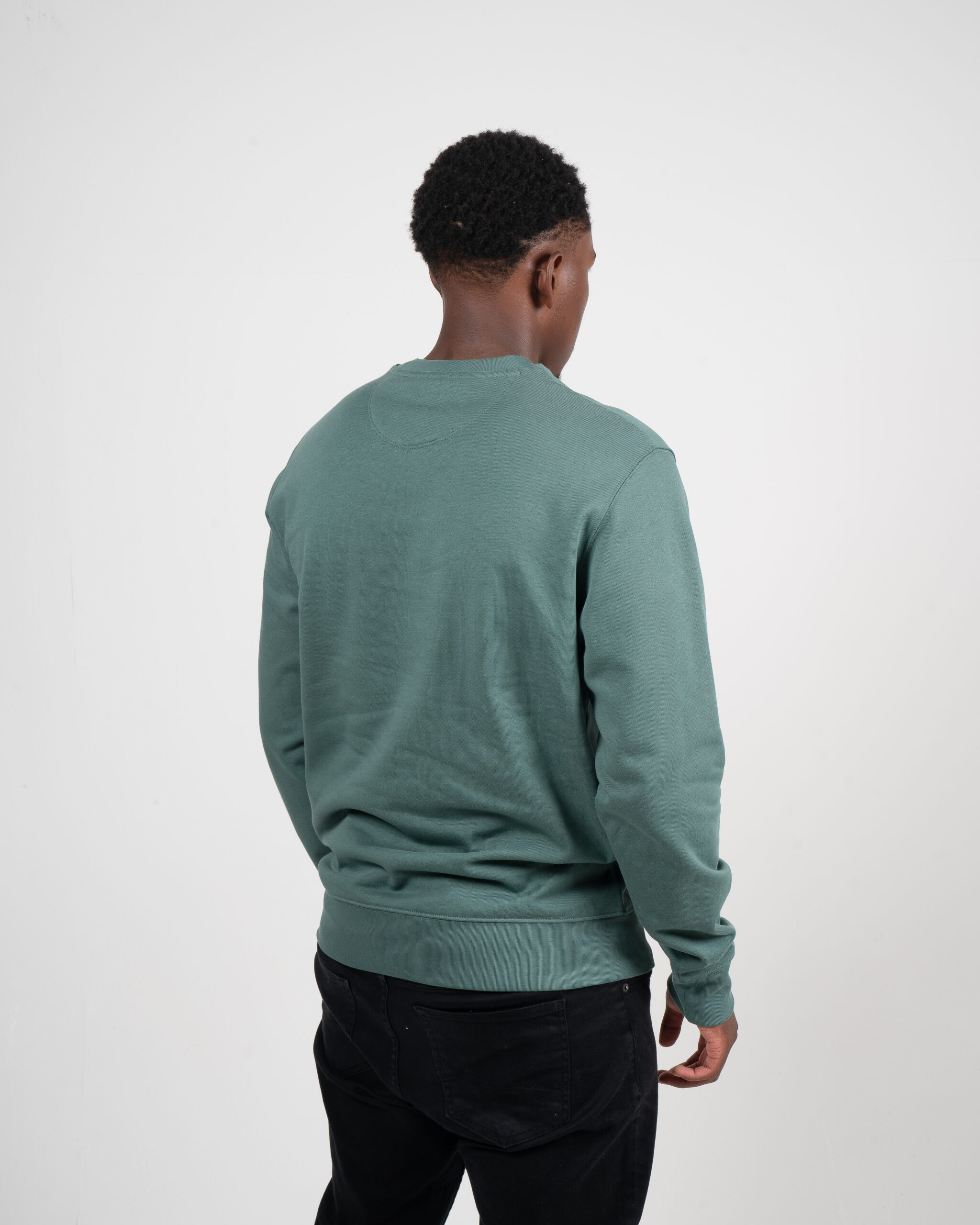 mens-sea-green-sweater-rear